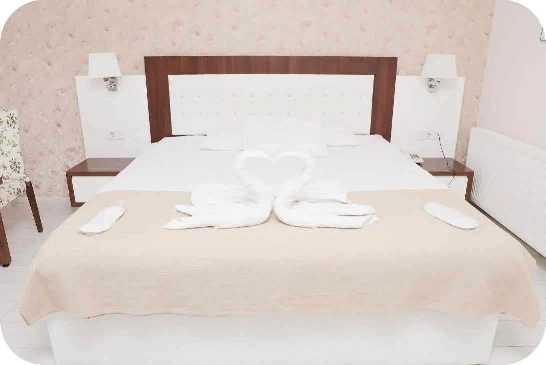 Tralles Hotel Aydin 3*,
